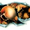 Lethal Threat Designs Lethal Threat Shred Skull Decal - Left 1 Lethal Threat Designs Lethal Threat Shred Skull Decal - Left -GAS TANK ACCESSORIES SHOP 170 042 A V1