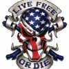 Lethal Threat Designs Lethal Threat Live Free Skull Decal -GAS TANK ACCESSORIES SHOP 170 510 A V1