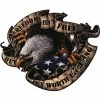 Lethal Threat Designs Lethal Threat Freedom Isn't Free Eagle Decal -GAS TANK ACCESSORIES SHOP 174 456 A V1